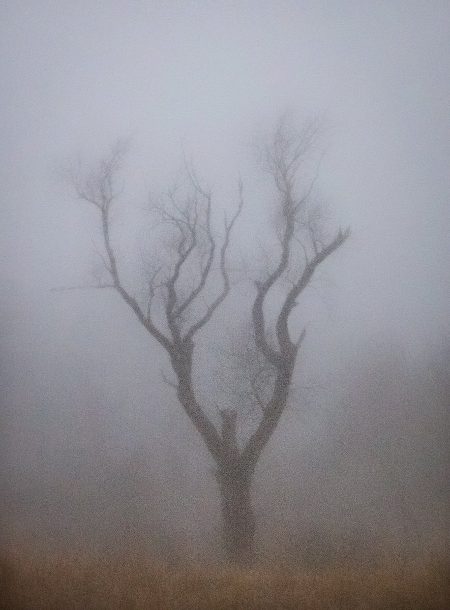 n0thing_man_ tweet media