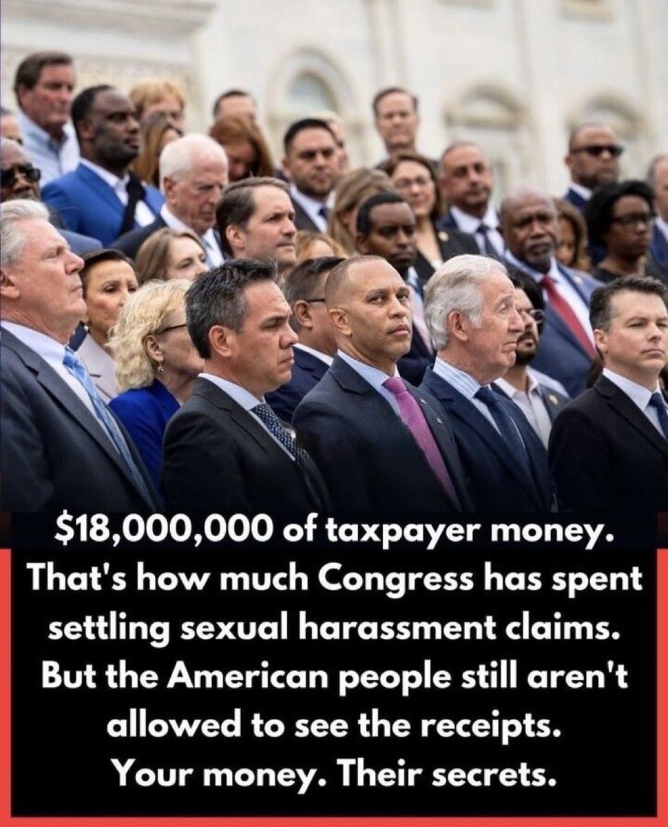 richarddacat tweet media