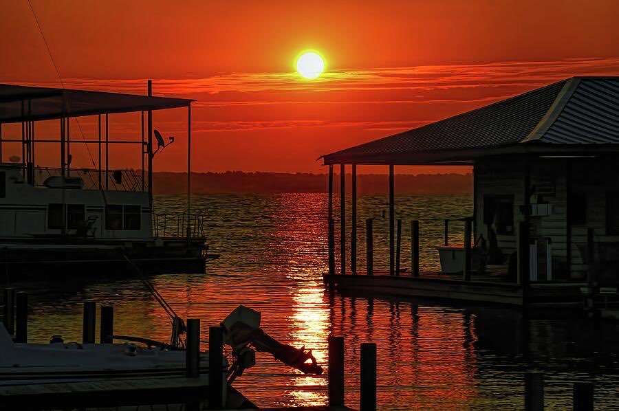 Diana Mary Sharpton tweet media