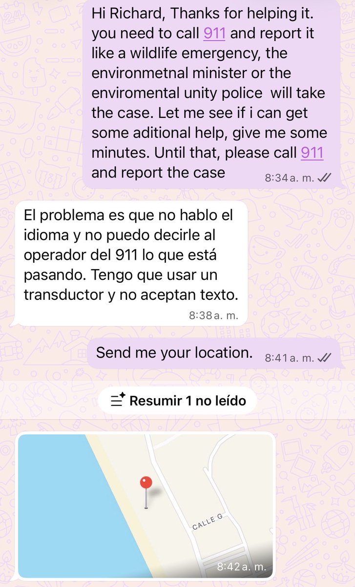 ProyectoSacha tweet media