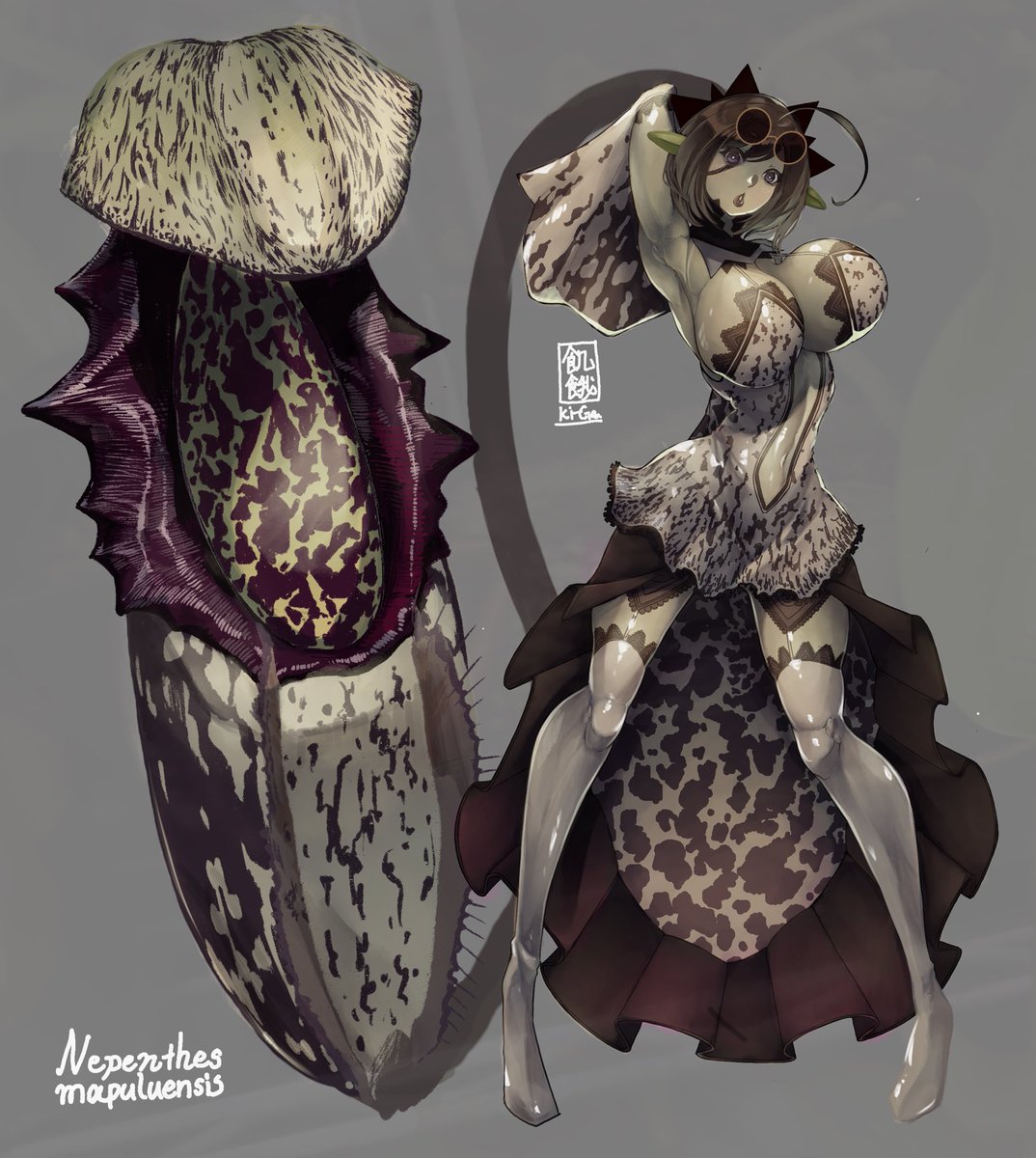 食虫植物絵描き(きが) tweet media