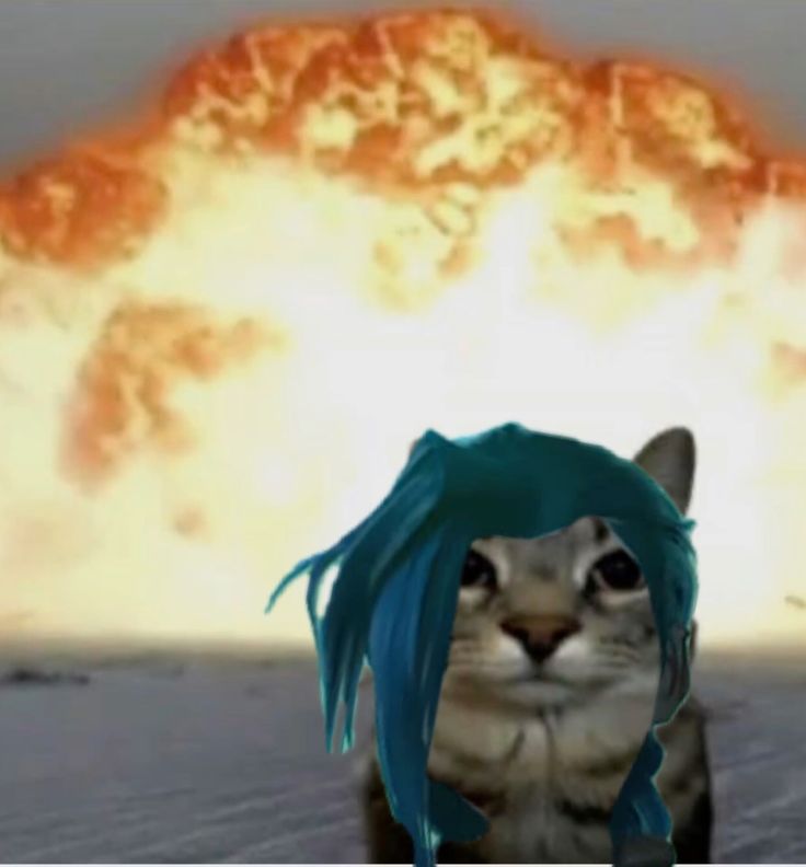 𝙅𝙄𝙉𝙓𝙄𝙉' 𝙔𝘼 ! tweet media