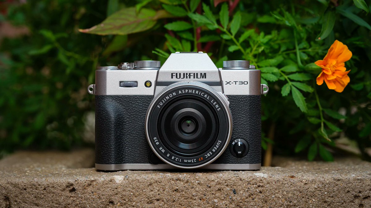 theglobalphotocommunity tweet media