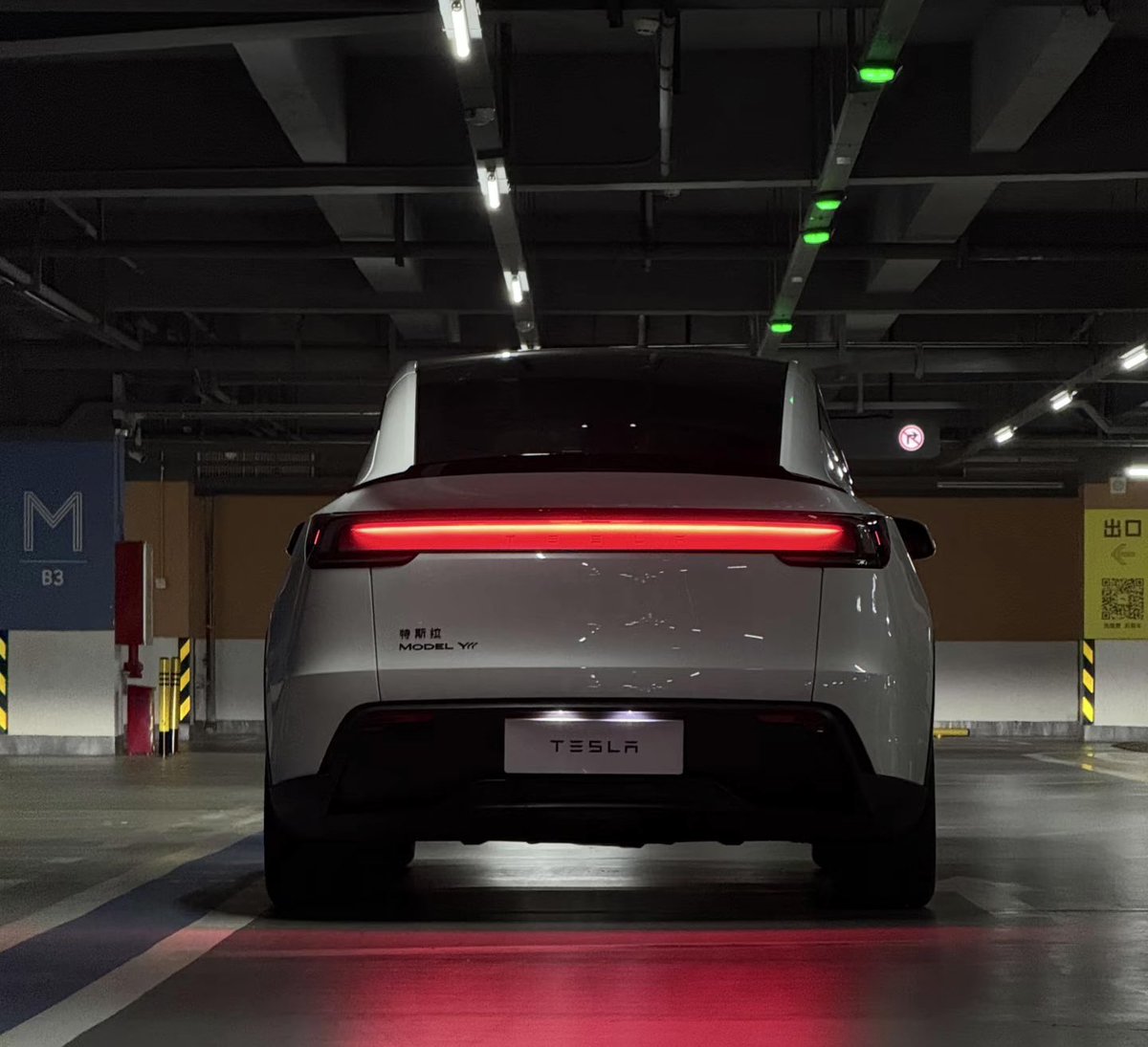 Tsla Chan tweet media