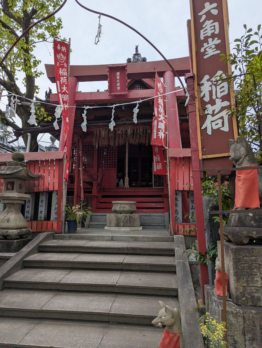 テトラシア tweet media