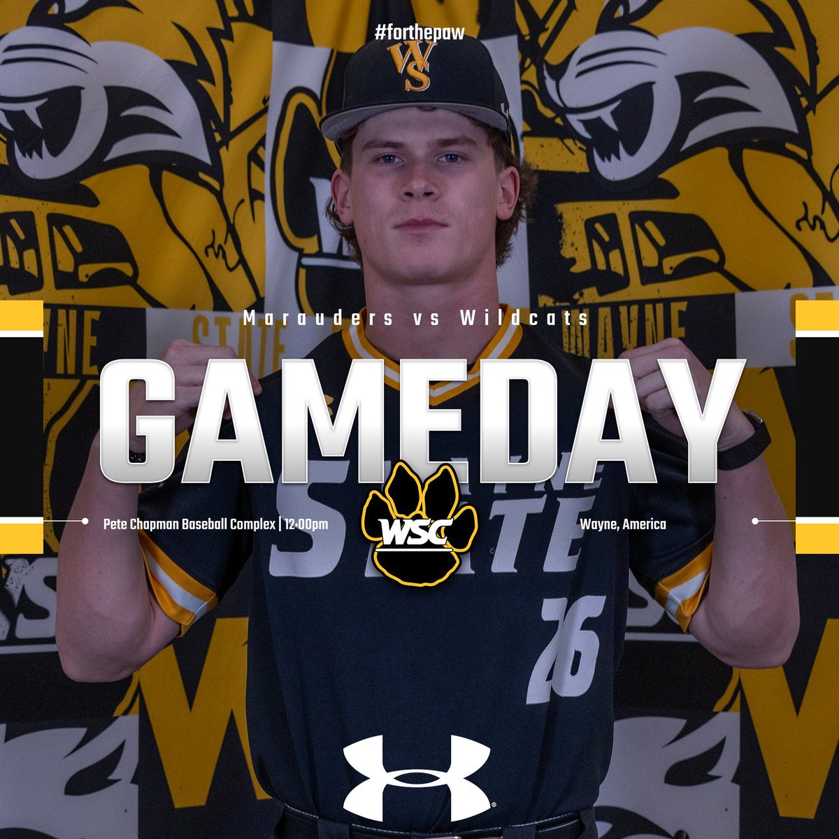 Wayne State Baseball tweet media