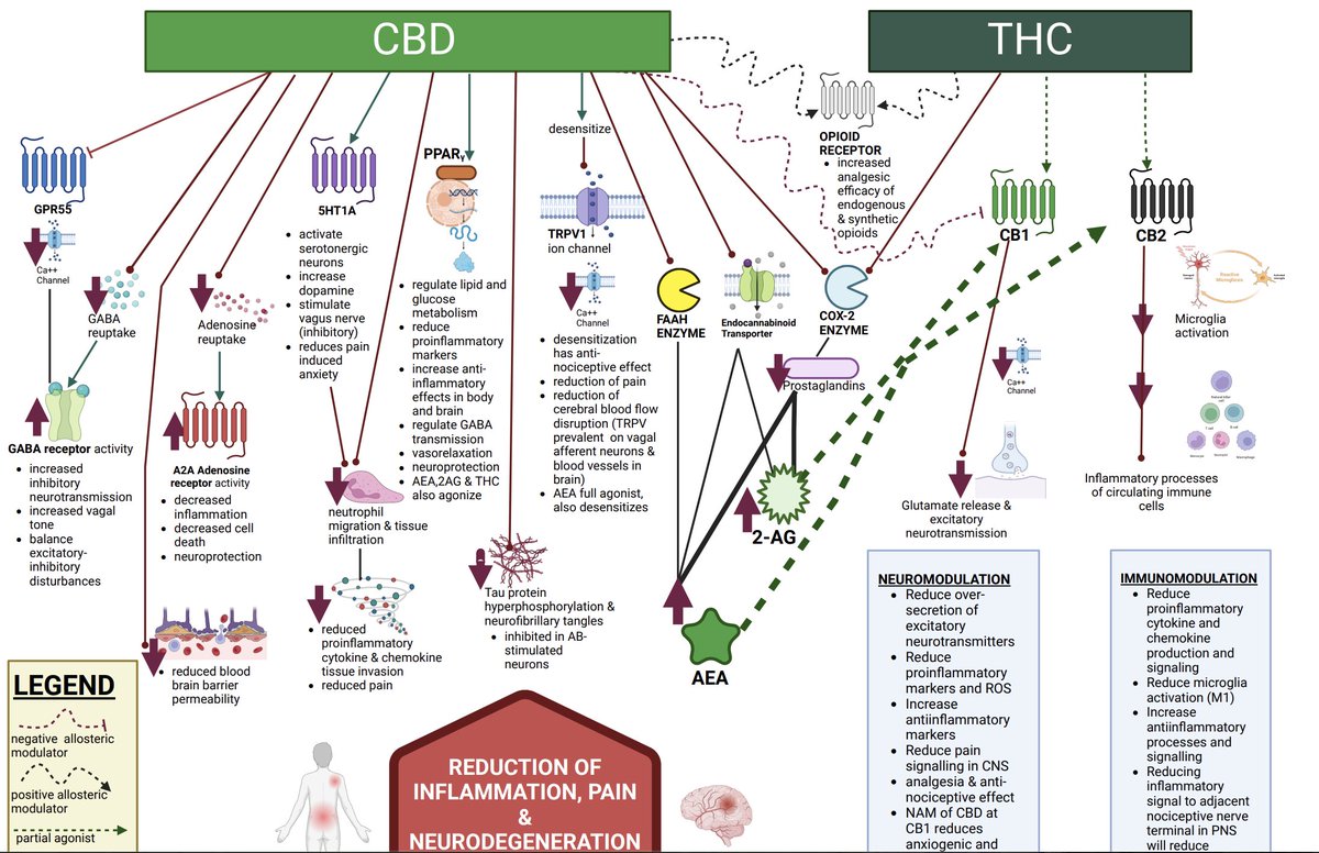 Sports Medicine Review tweet media