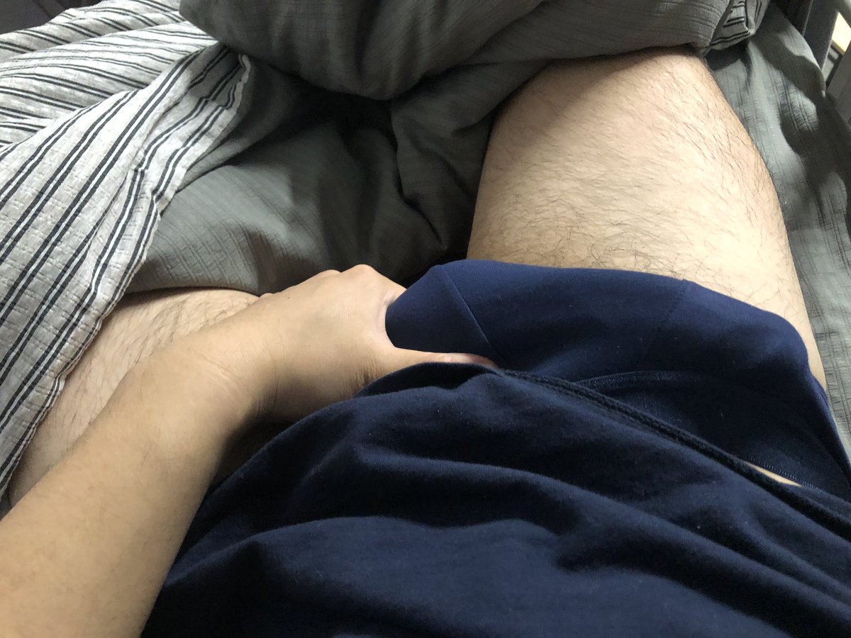 大虎禾武 tweet media