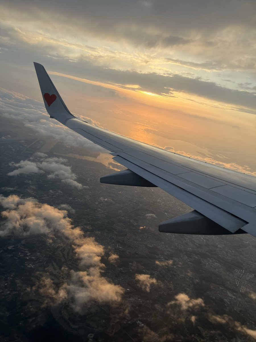 kinamoti tweet media