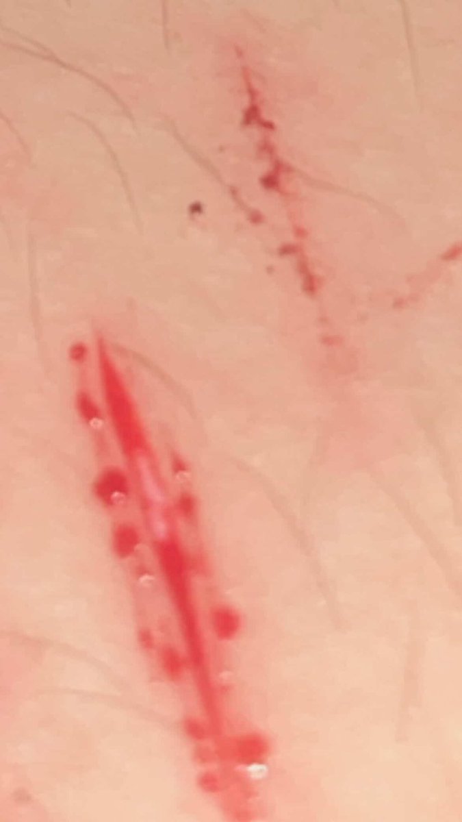 lovx 💘 of shedtwt tweet media