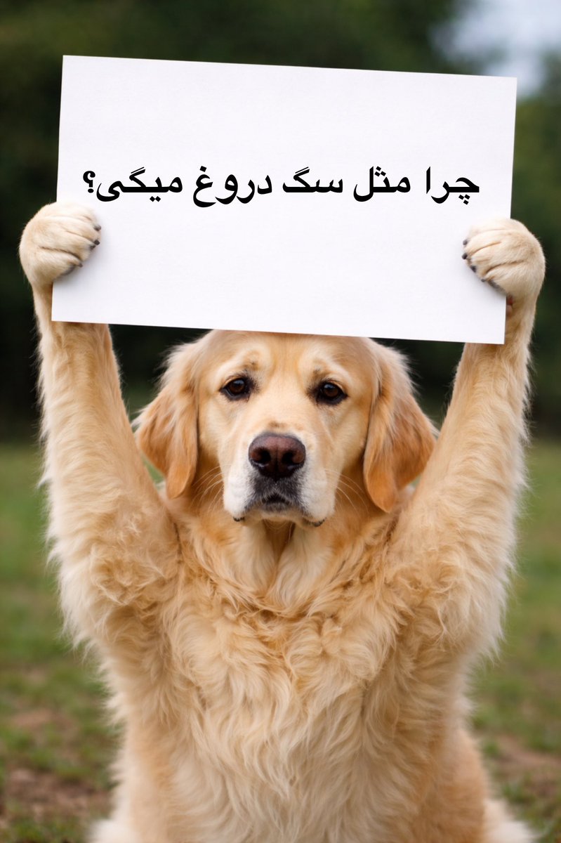 ‏ ‏ ⚖️ 𝕄.𝔸𝕓𝕖𝕕𝕚  tweet media