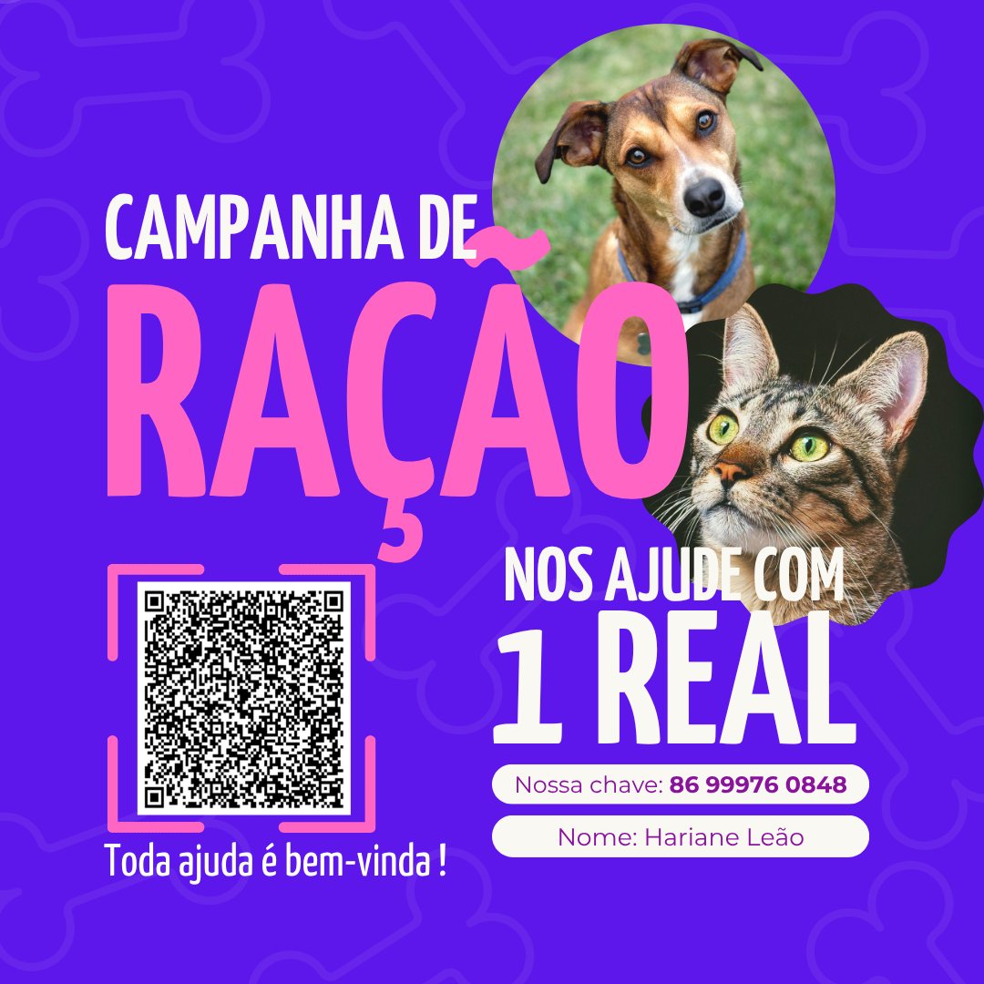 Hariframes tweet media