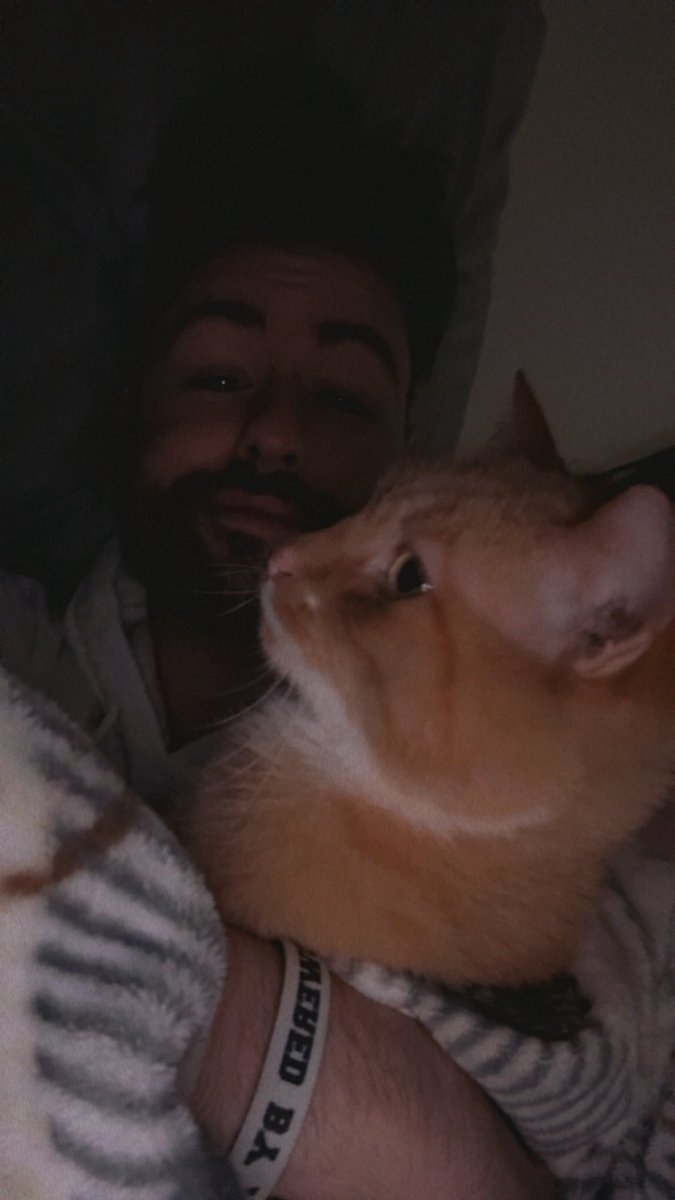 THE MATTMAN tweet media