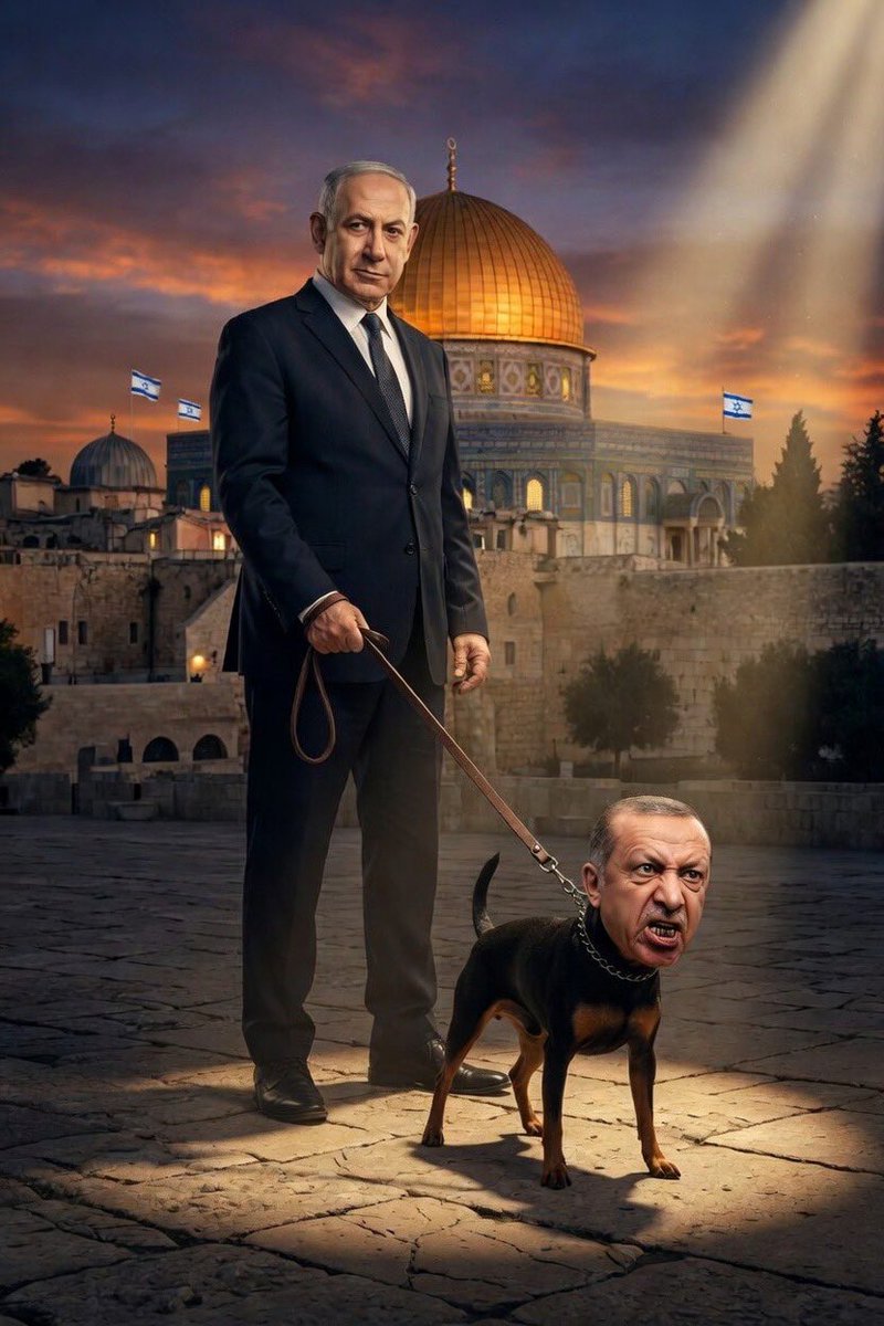 daniel hanuka📟 🇮🇱 tweet media