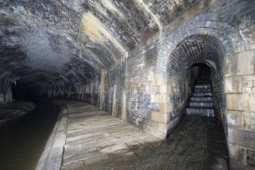 amalgamatomaton tweet media