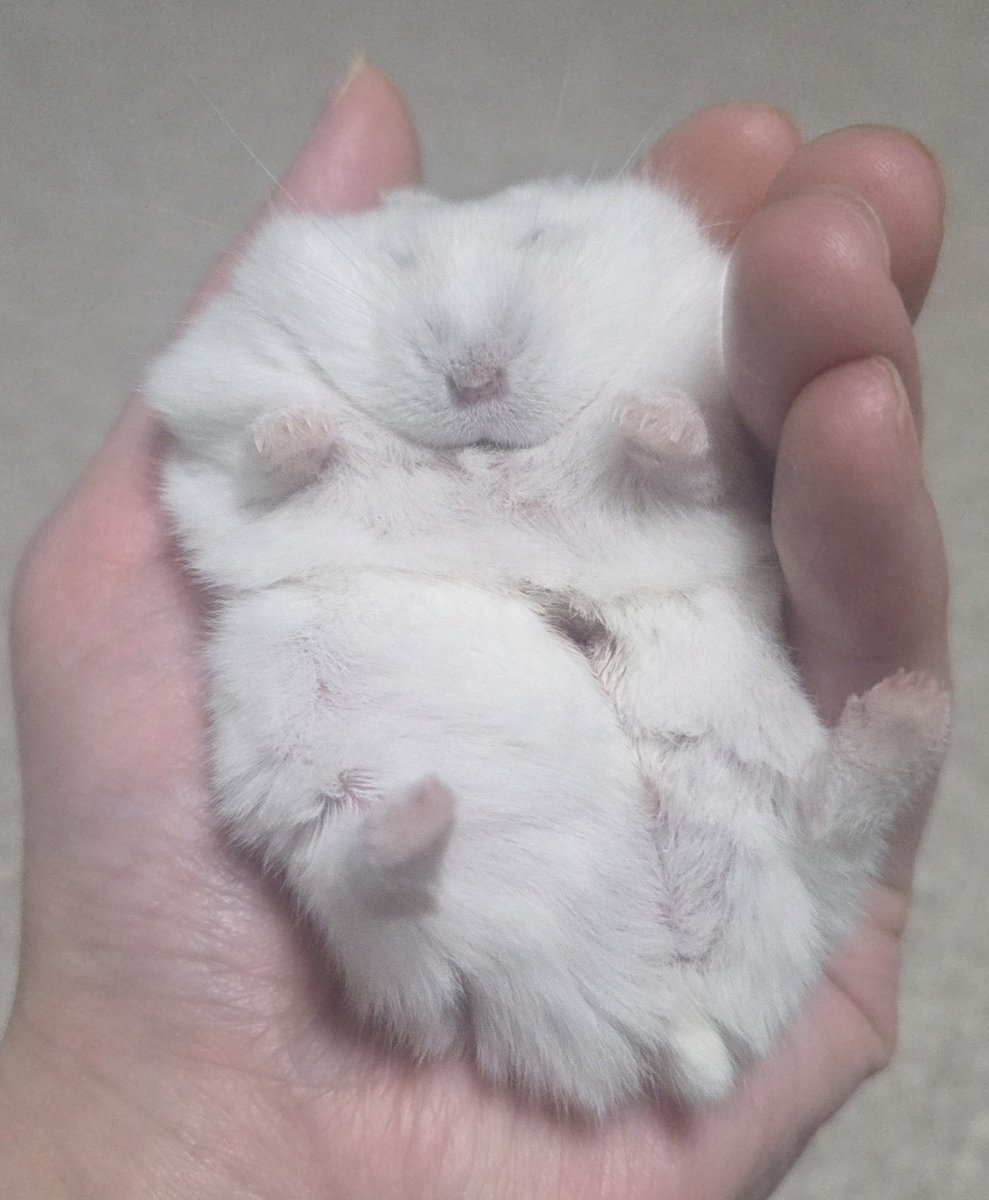 まーちゃんねる tweet media