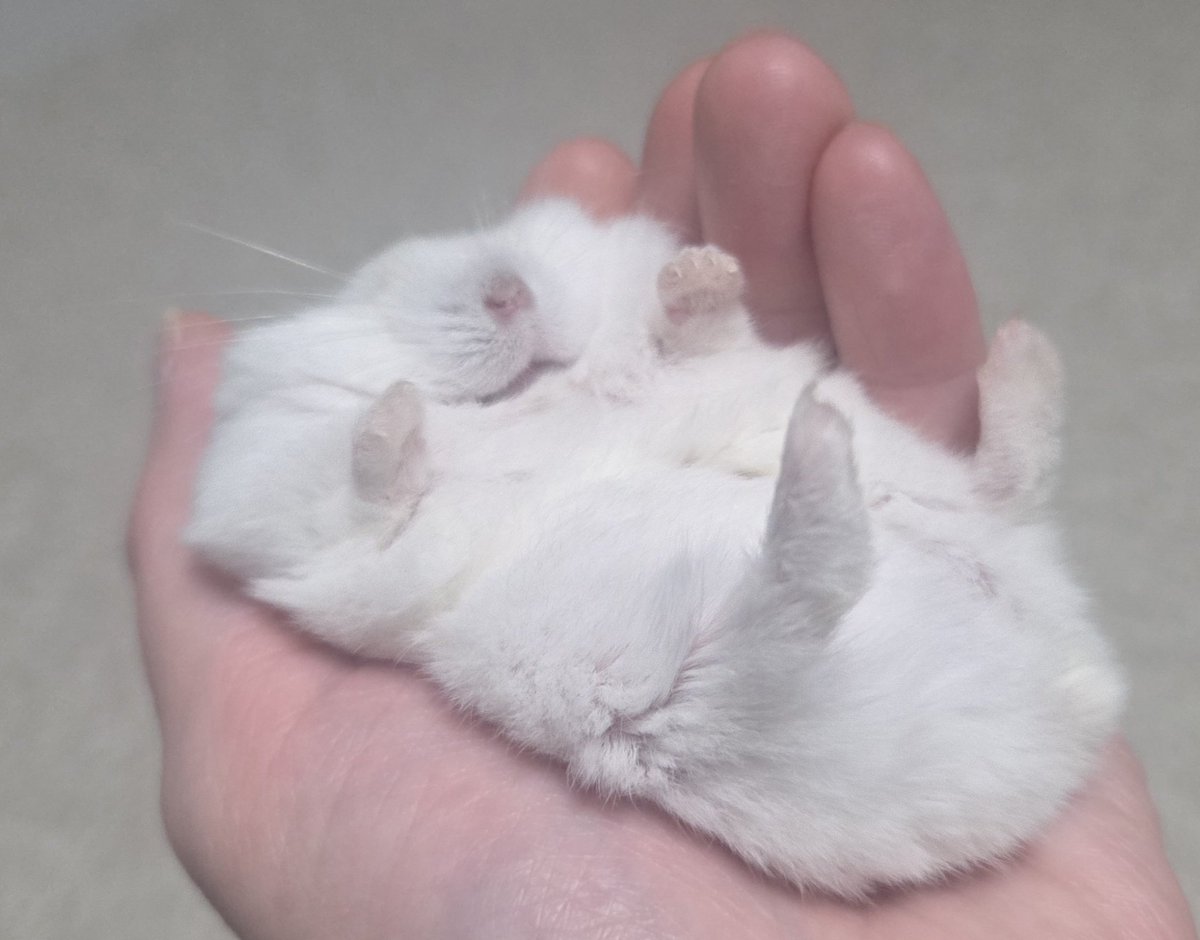 まーちゃんねる tweet media