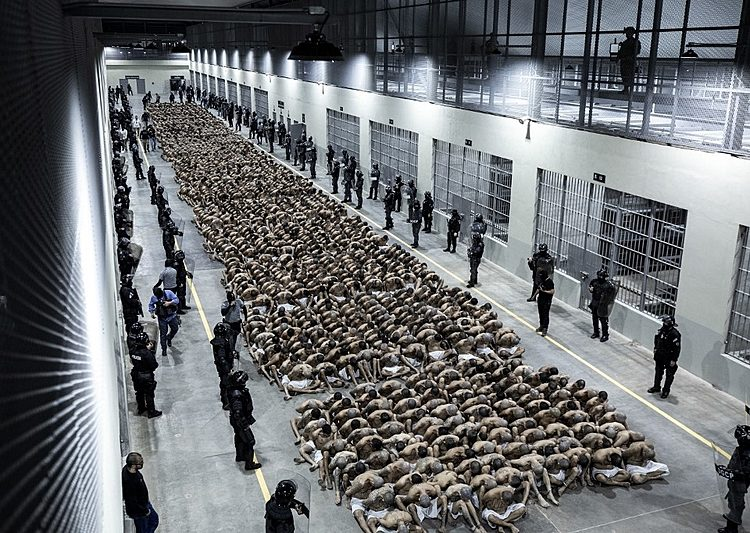 Guy Haulotte tweet media