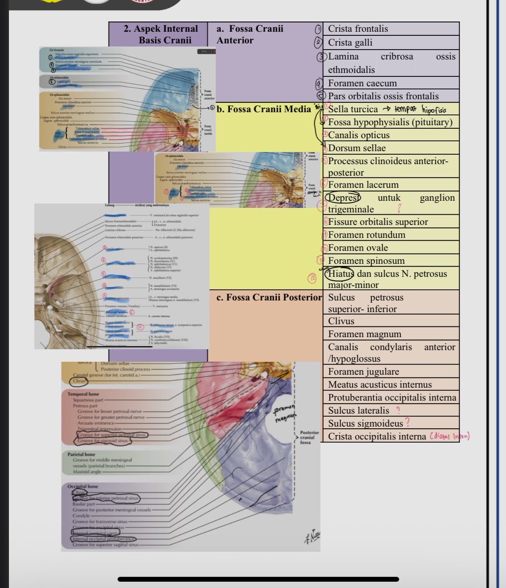 dipibee | selesai gap tweet media