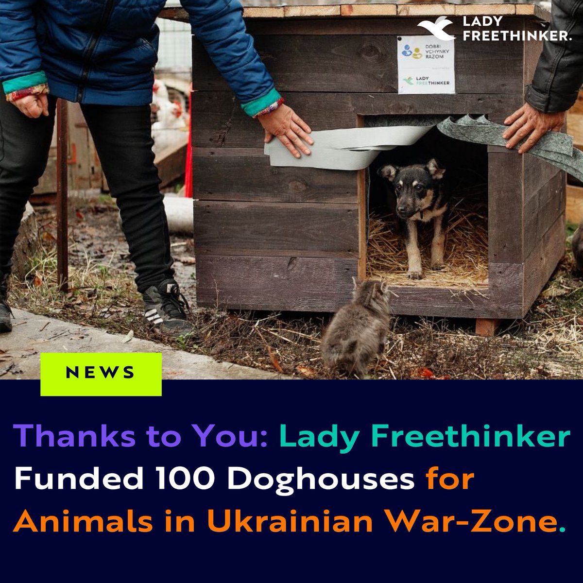 Lady Freethinker tweet media