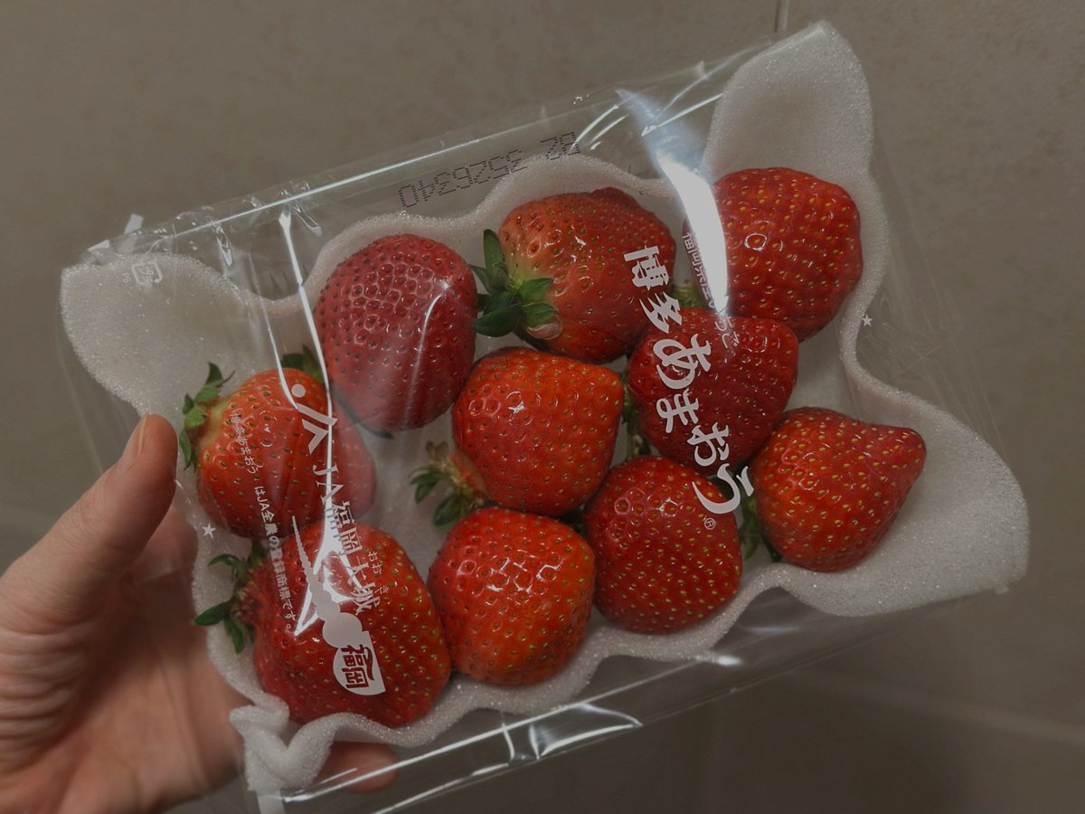 Max Noël tweet media