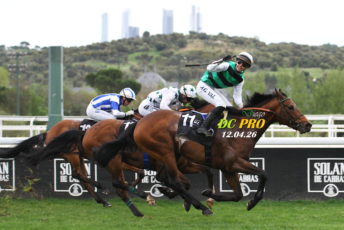 DC PRO 🐎 tweet media