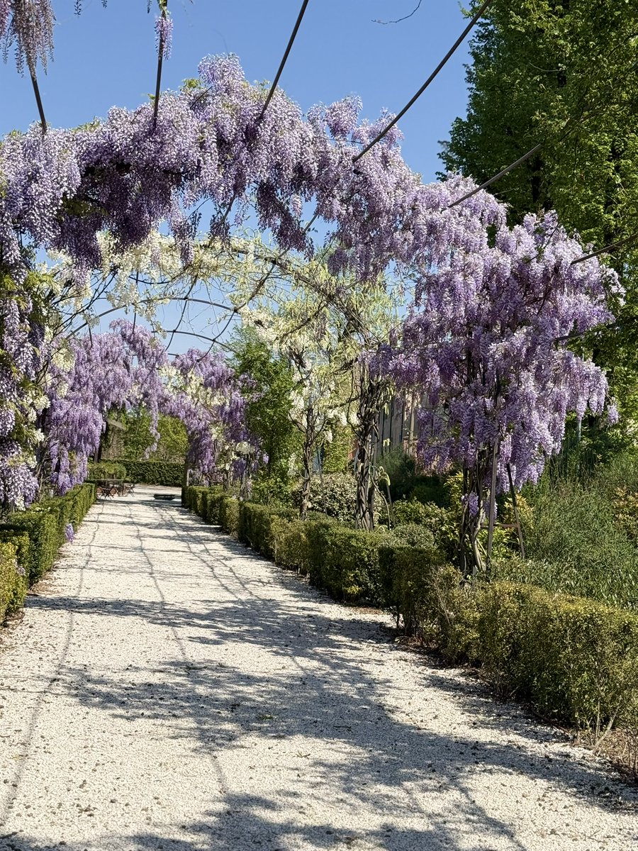 michèle berclaz tweet media