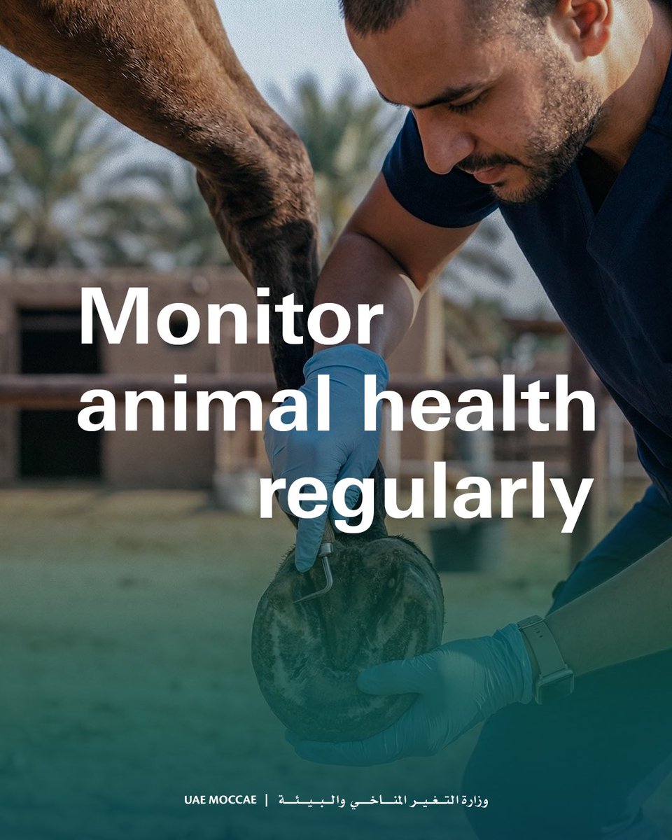 ‎وزارة التغير المناخي والبيئة tweet media