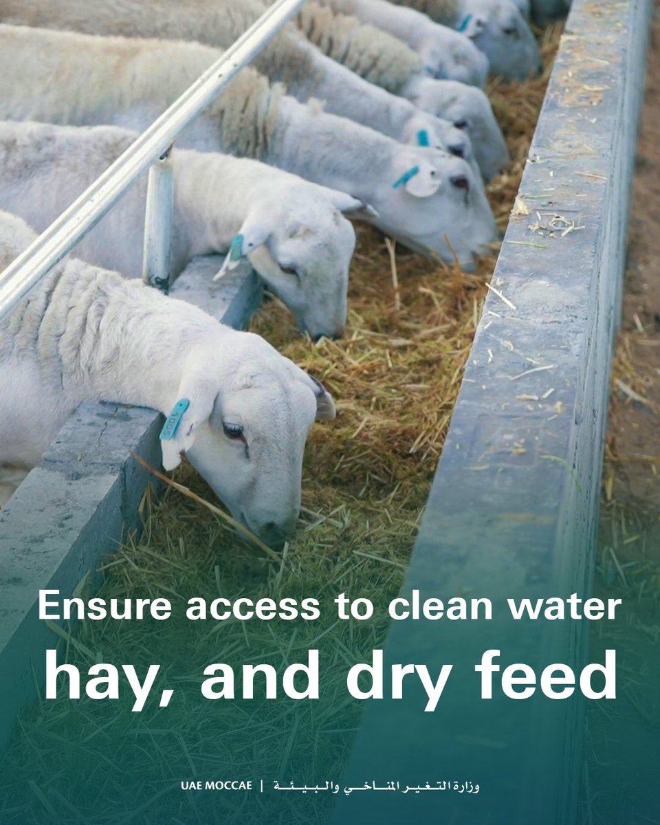 ‎وزارة التغير المناخي والبيئة tweet media