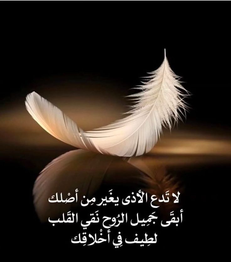A____2_x's tweet photo. أجمل ما يملكه الواحد منا هو (نقاء سريرته).
لا تخلّي مواقف عابرة أو ناس ما تقدّر
يغيرون فيك خصلة حلوة.
خلك دايم الطرف الأرقى
والروح الأصفى.. 
ترا الطيب يبقى وأصحابه ما يضيعون. https://t.co/G6L9aq1uuY