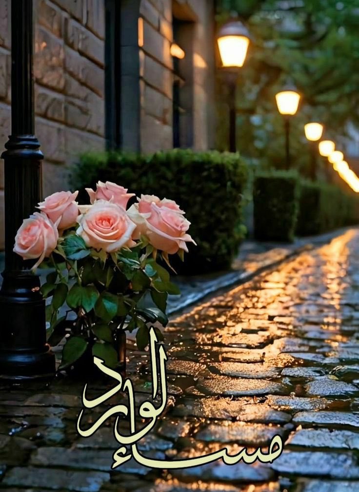 N0_0_7's tweet photo. #مساء_الخير https://t.co/NYeNA0qaBv