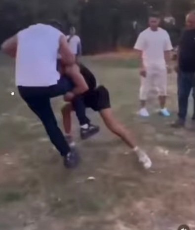 mapavrilus tweet media