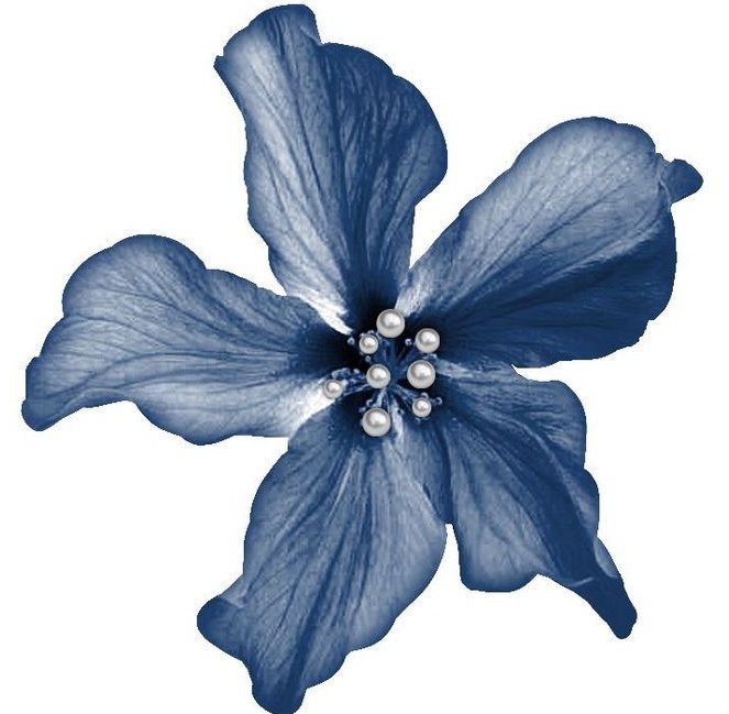 𝘏𝘢𝘦𝘤𝘩𝘢𝘯 ࣪.ᐟ tweet media