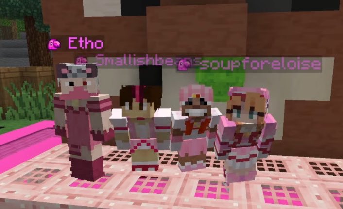 PotatoSlab's tweet photo. So kawaii - Etho https://t.co/EClLwgA03q
