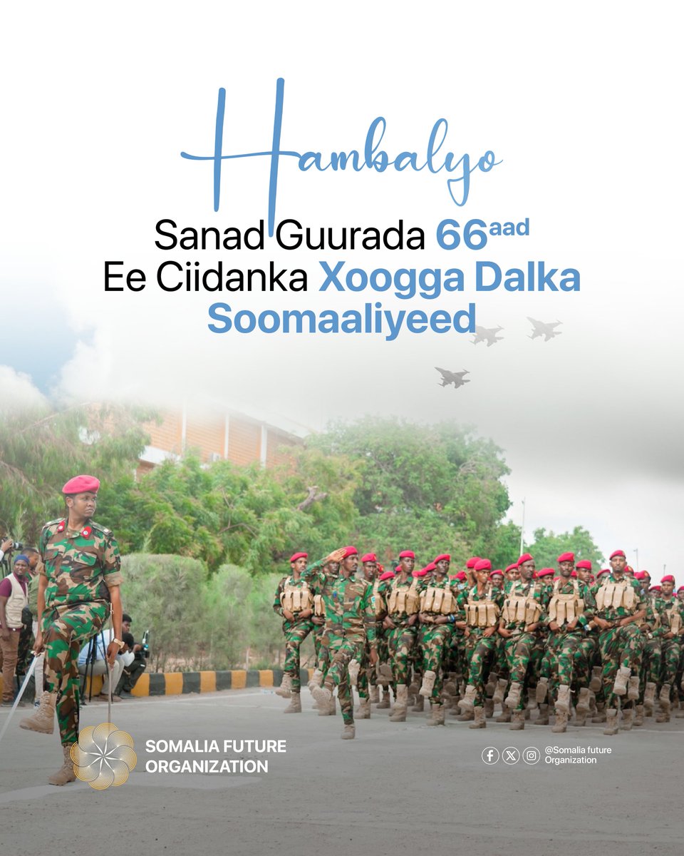 Somalia Future Organization tweet media