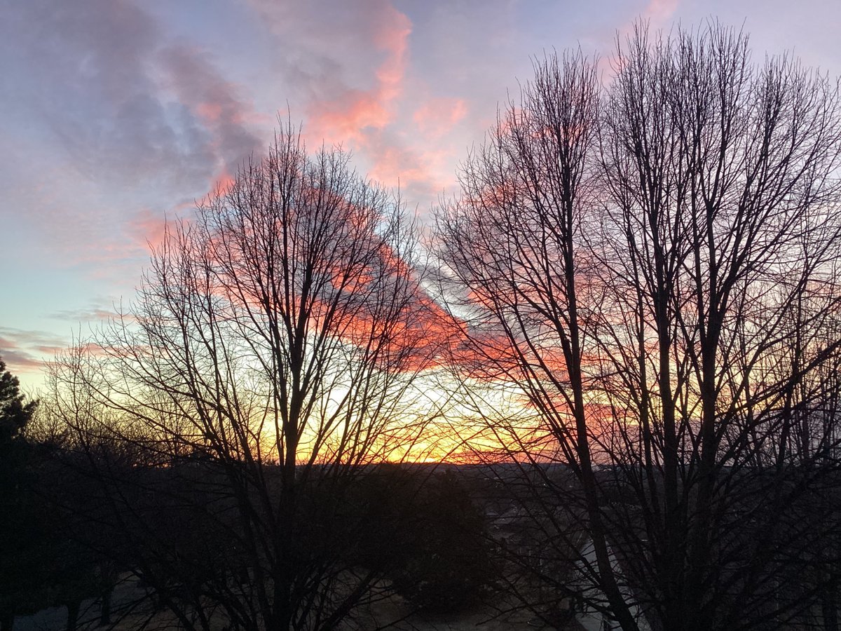 ✨Ryan✨ tweet media