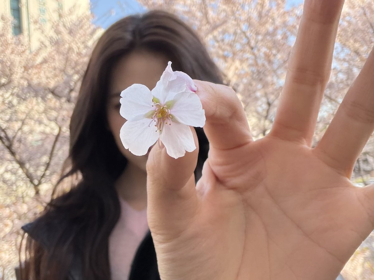 anyujmin's tweet photo. no context https://t.co/ytOnKKZB1z