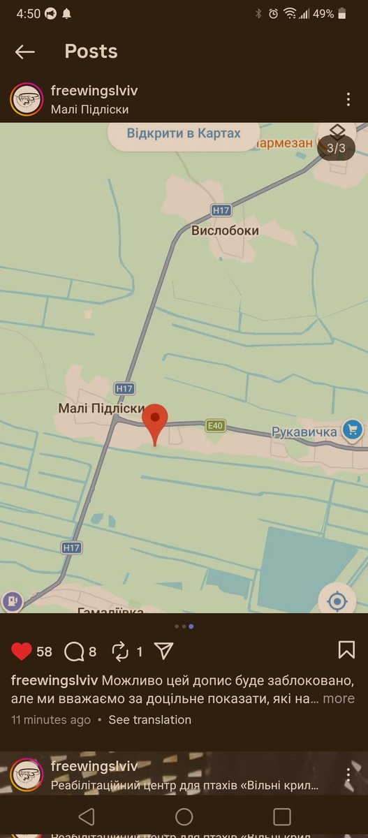 це ніколи не манекен це дві кітві tweet media