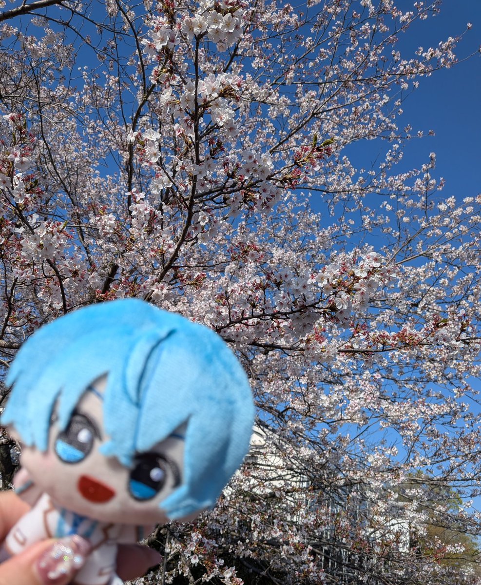 みいん固ツイお願い致します🙇🏻♀️ tweet media