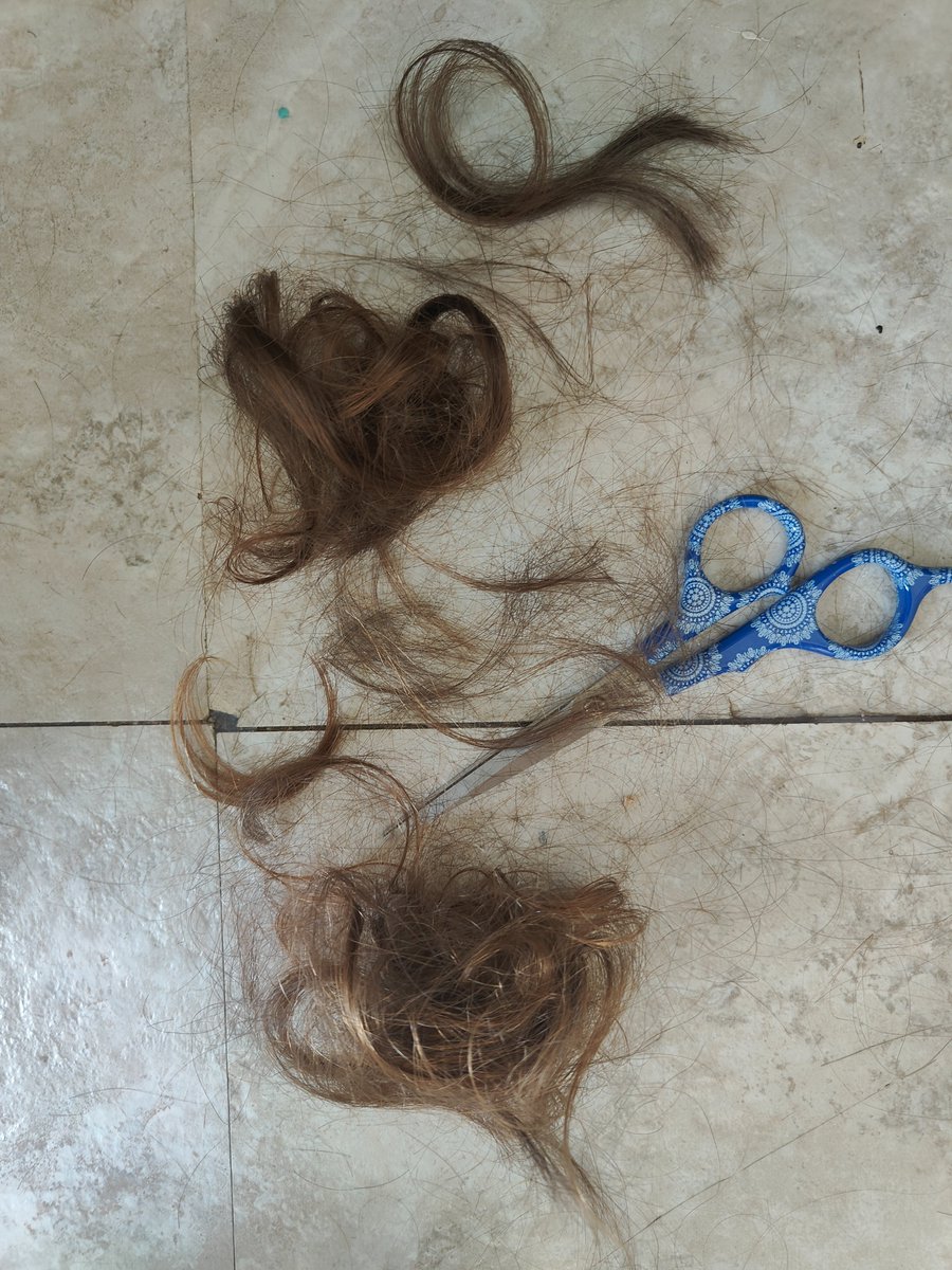 Jeremy Kauffman 🦔🌲🌕 tweet media