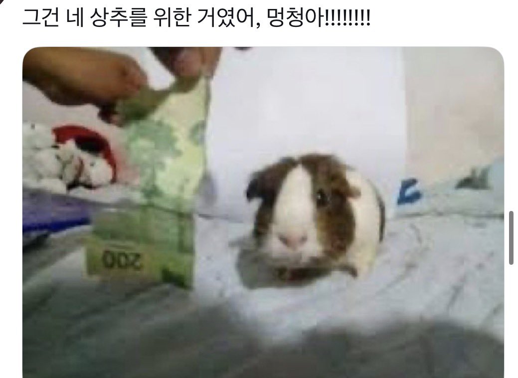 쌀밥이 tweet media