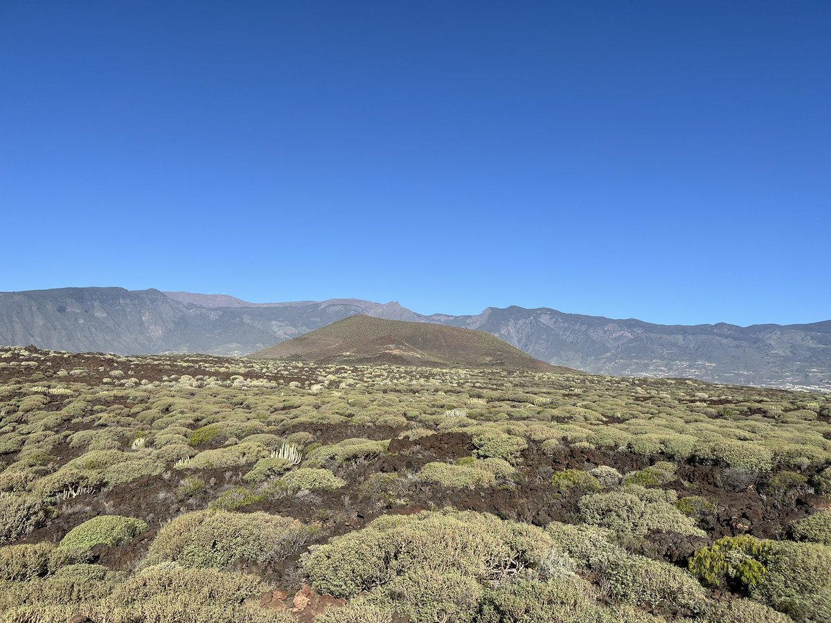 andyhalltv's tweet photo. Malpais de Güimar hike https://t.co/RVw0nUSLs4