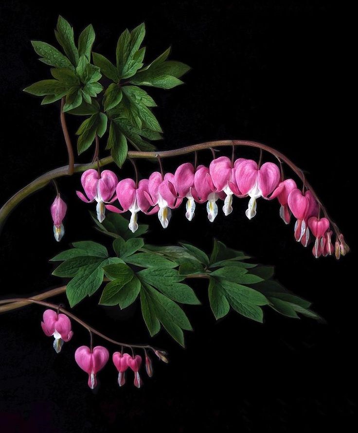 𝒍𝒖𝒏𝒂 tweet media