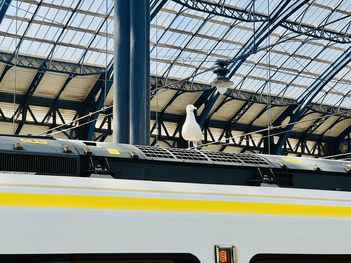 AlexHynes's tweet image. Sometimes it does you good to leave the city, hop on a train and blow away a few cobwebs. 🏖️ @TLRailUK @NetworkRailSE