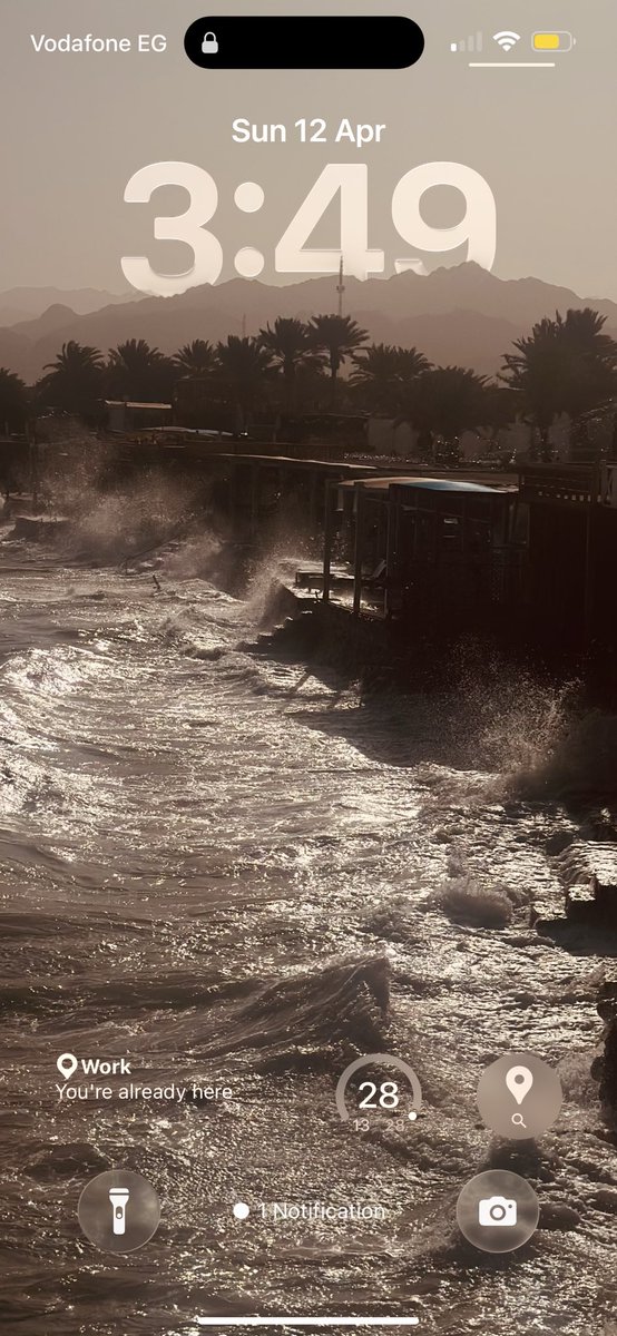 Mohamed aldahshan tweet media