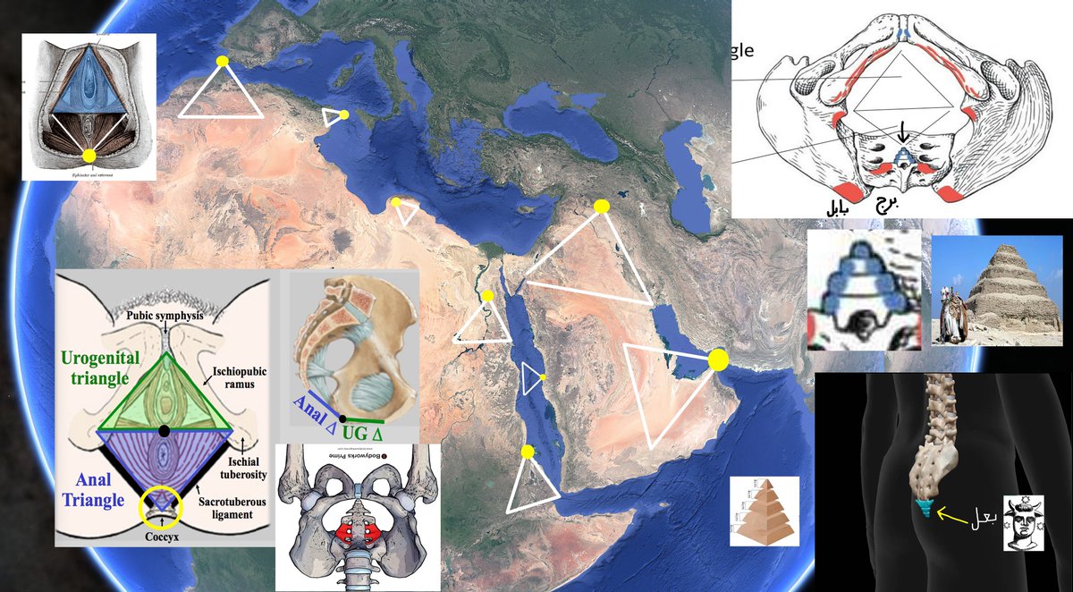 مَرْيَمُ بِنْتُ عِمْرَانَ🕋 tweet media