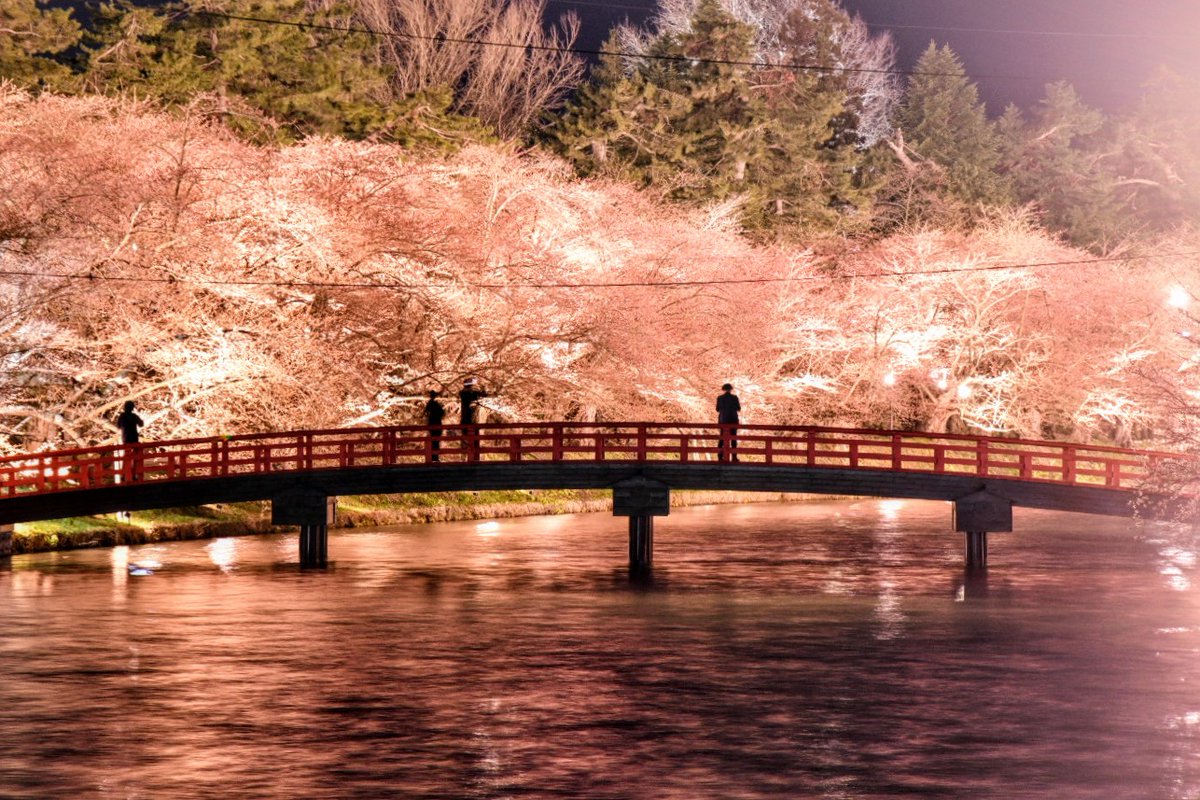 ためのぶ津軽人 tweet media