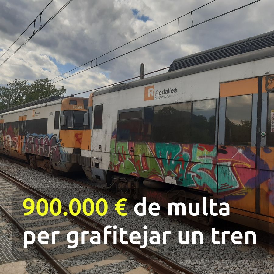 transport.cat tweet media