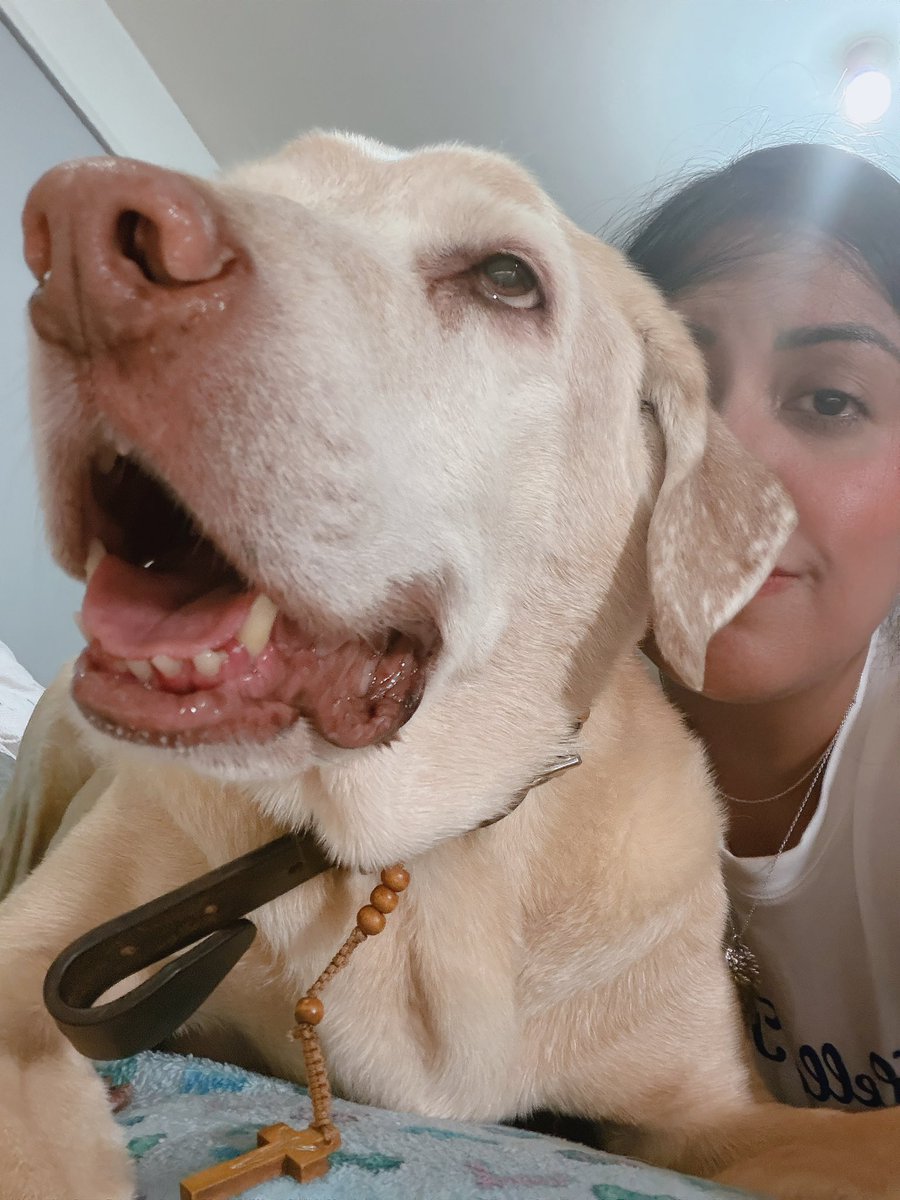 Claudia Astrid tweet media