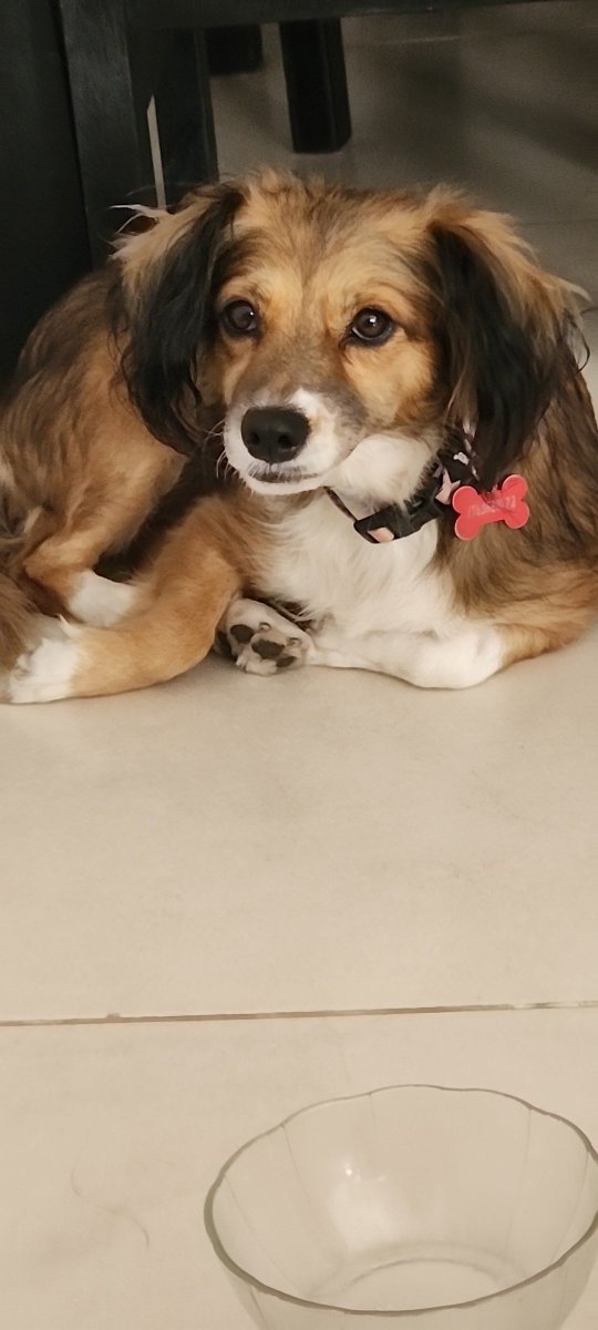 carito🇦🇷⭐⭐⭐ tweet media